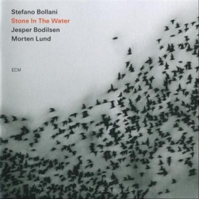 1253038367_stefano-bollani-trio-stone-in-the-water